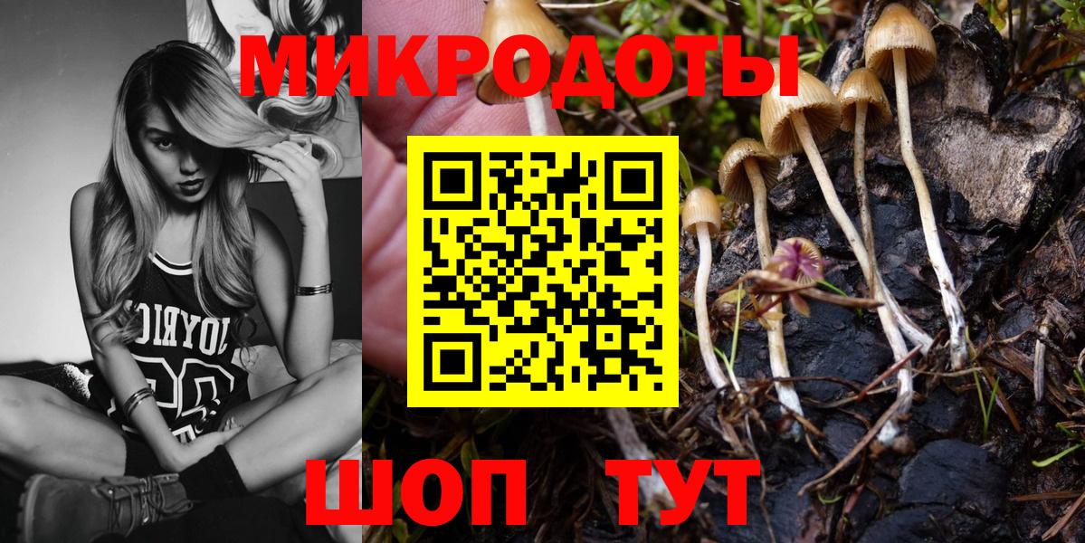 Галлюциногенные грибы прущие грибы Узловая