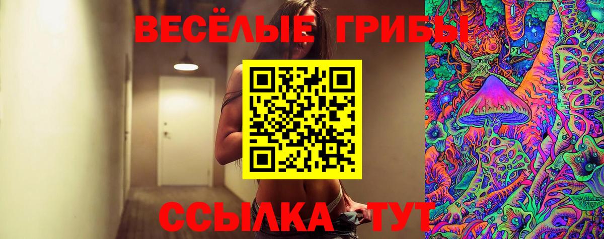 Узловая  Псилоцибиновые грибы мицелий  Вход с VPN 