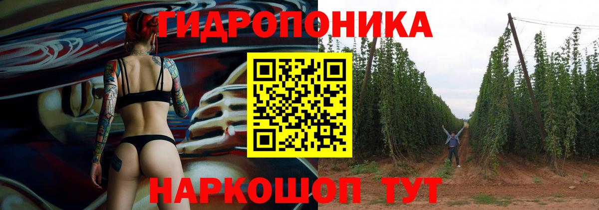 Бошки Шишки OG Kush  Вход с VPN  Конопля White Widow  МАРИХУАНА семена  Узловая 